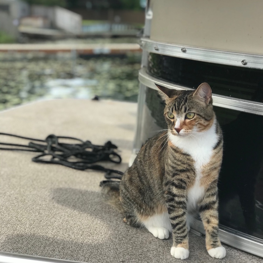 Hello 🥰 - Picture 4 of 8